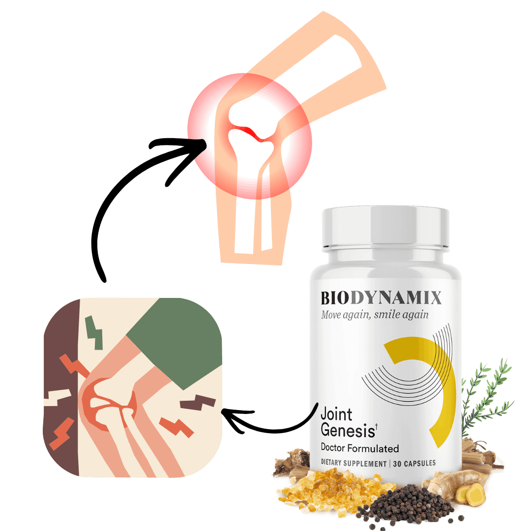 How Joint Genesis Works